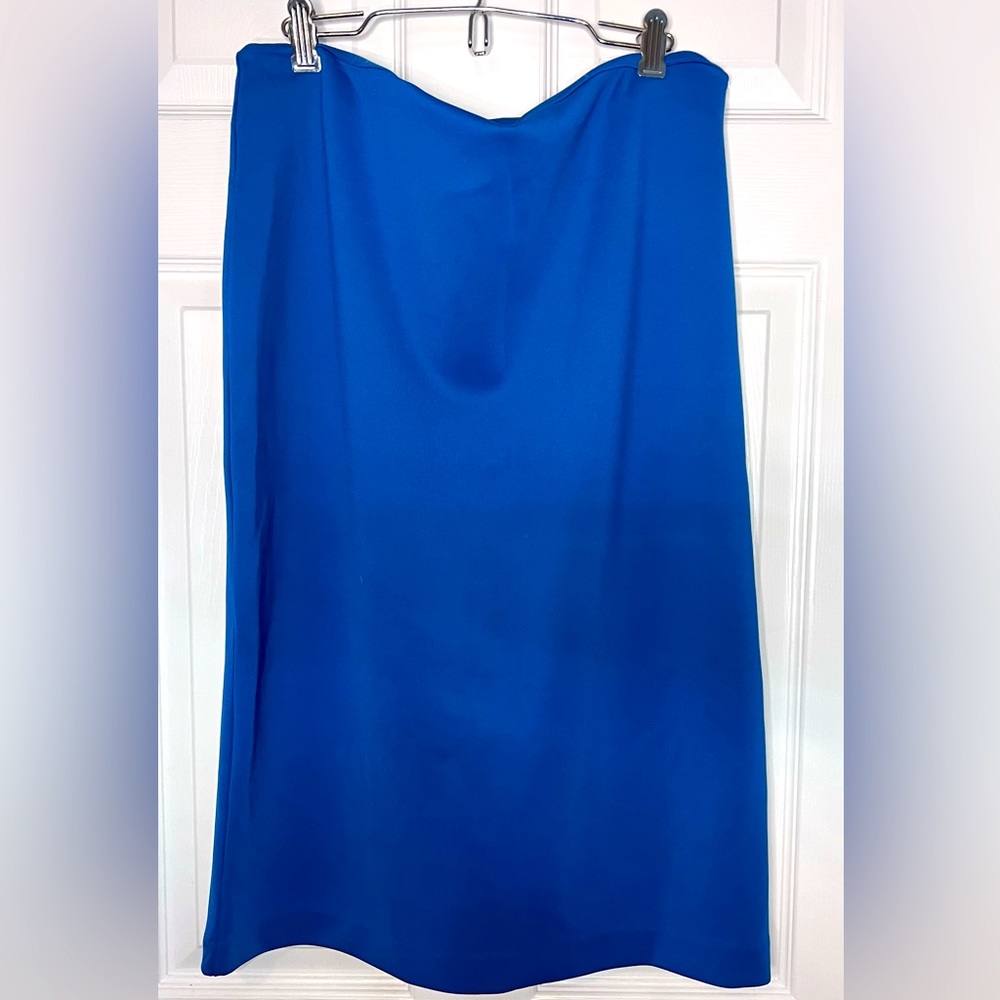 New York and Company Pencil Skirt (Brand New)